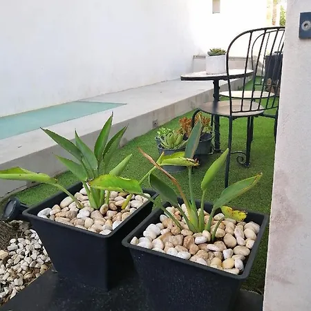 Ca Na Xisca Holiday home *