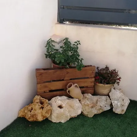 Ca Na Xisca Holiday home *