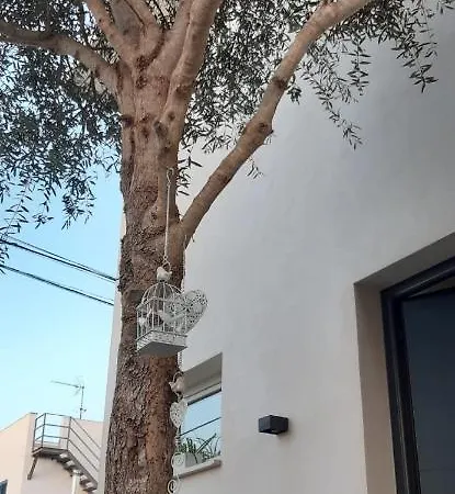 Ca Na Xisca Holiday home